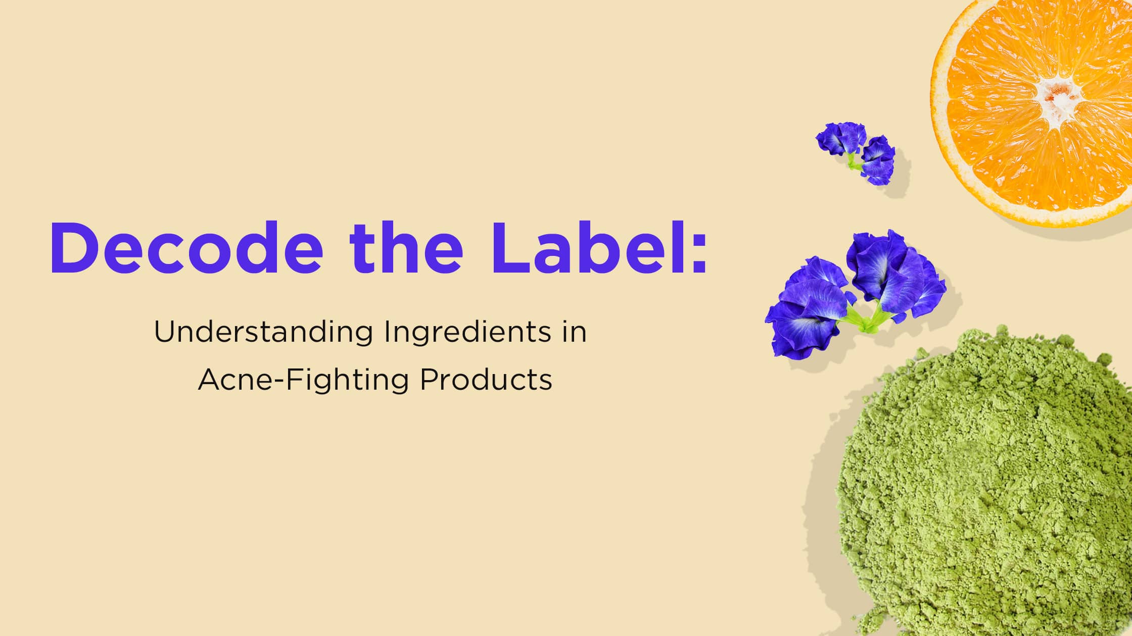 The Lite Edit – Light Up Beauty